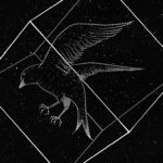 bird-5878934_1280f
