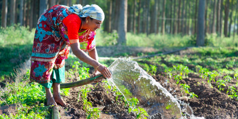 Demand for MSP Guarantee Ignores Agricultural Labourers and Widening Class Divide - Vimarsana News