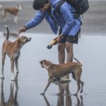 sadanand-lowanshi-0cqaoBu2tNQ-unsplashf