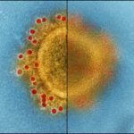 virus_microscope
