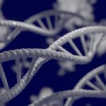dna-5297378_1280