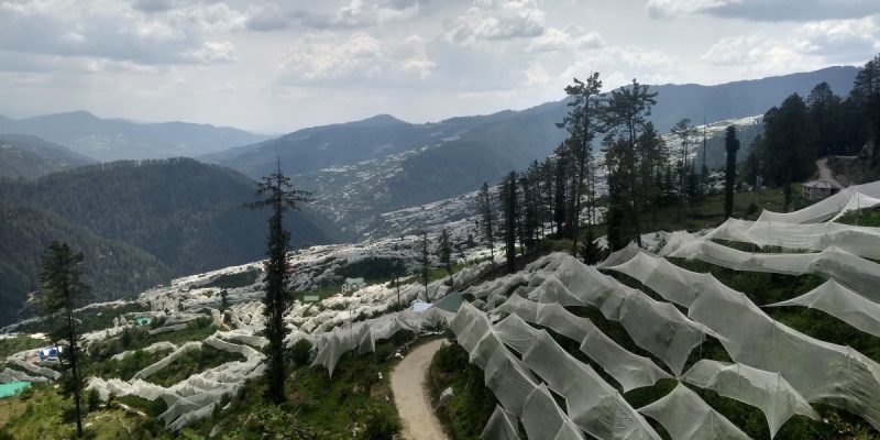 Why People in Himachal and Uttarakhand Need to Know More on the Farm Laws and Protests - Vimarsana News