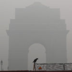 A crow sits on a barricade in front of India Gate amidst smog in New Delhi