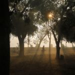 A person walks a dog in a garden on a smoggy morning in New Delhi