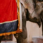 annie-spratt-_J8qLoRHJJs-unsplash