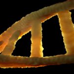 dna-1388696_1920