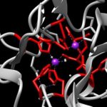 640px-NDM-1_active_site_4HL2