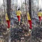 odisha forest fire