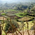 Agriculture in the Western Ghats.