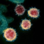 Novel_Coronavirus_SARS-CoV-2