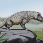 Anteosaurus_in_landscape