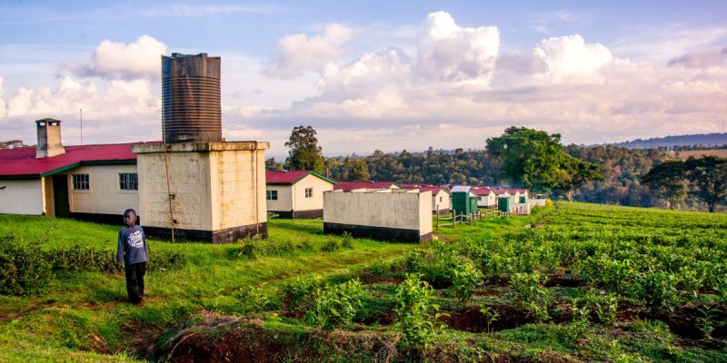 Kenyan Tea Workers Demand Reparations From Unilever For Failing to Protect Them From Attacks - Vimarsana News