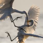 chris-sabor-qlaot0VrqTM-unsplash