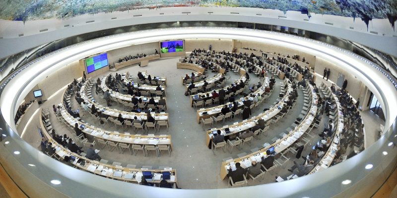 Ashwini K.P. Becomes First Indian to Be Appointed Independent Expert on Racism by UNHRC - Vimarsana News