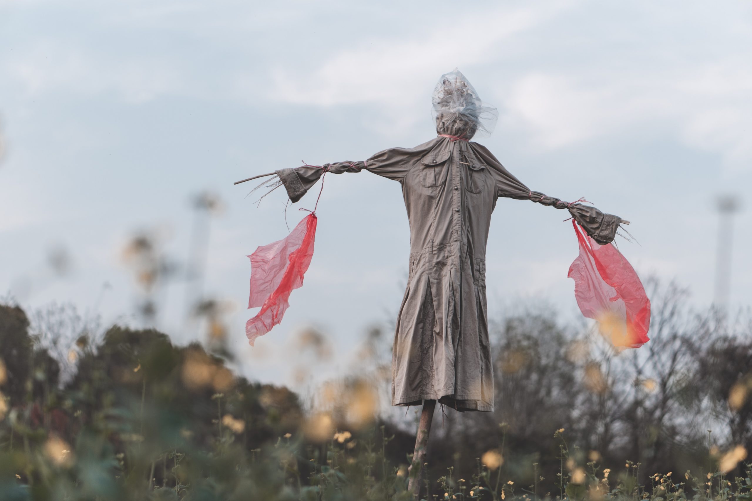 xianyu-hao-uHIA-7emaJo-unsplash