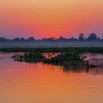 1280px-Maguri_Beel-768x512