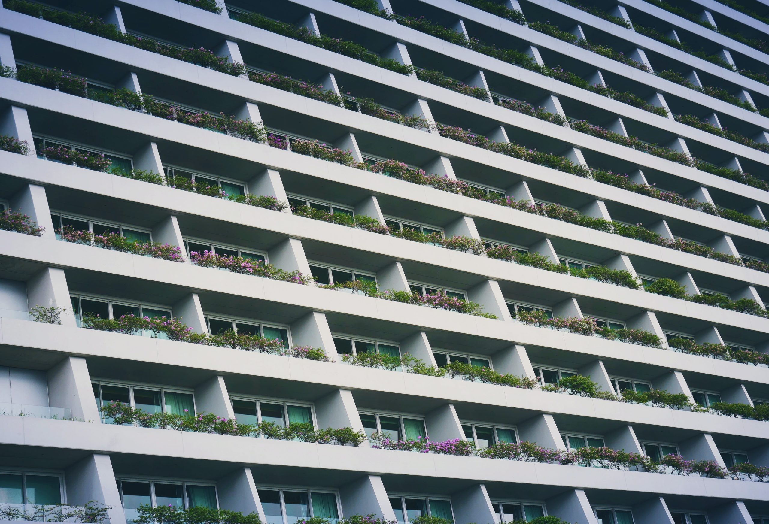 jordan-opel-hJdkc5LY6TM-unsplash
