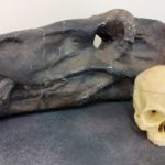 file-20210305-15-1tycshp