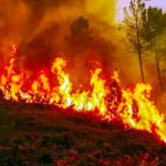 Forest fire in Uttarakhand