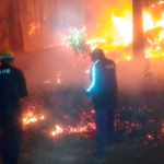 Forest fire fire fighters Uttarakhand