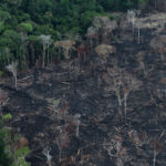 An aerial view of a tract of Amazon jungle after it was cleared by farmers in Itaituba