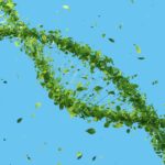dna-5591477_1920