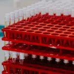 mat-napo-kQrBavaF-Fk-unsplash