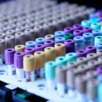 testalize-me-0jE8ynV4mis-unsplash
