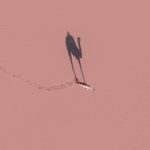 pexels-the-lazy-artist-gallery-4190513