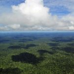 1280px-Amazon_CIAT_(5)