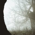 annie-spratt-LYk3CPQf1jk-unsplash