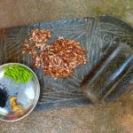 3-red weaver ant chutney (1)