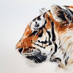tiger-3039280_1920