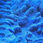david-clode-3Yu_RoCzS4Y-unsplash