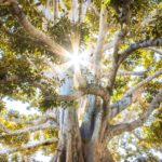 jeremy-bishop-EwKXn5CapA4-unsplash