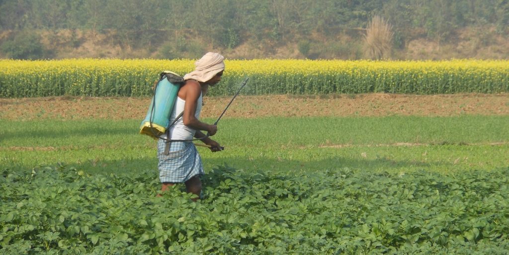 Farmers Win On Many Fronts Media Fails On All The Wire farmers-win-on-many-fronts-media-fails-on-all-the-wire