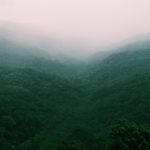roshni-sidapara-aXr2yUOZqs0-unsplash