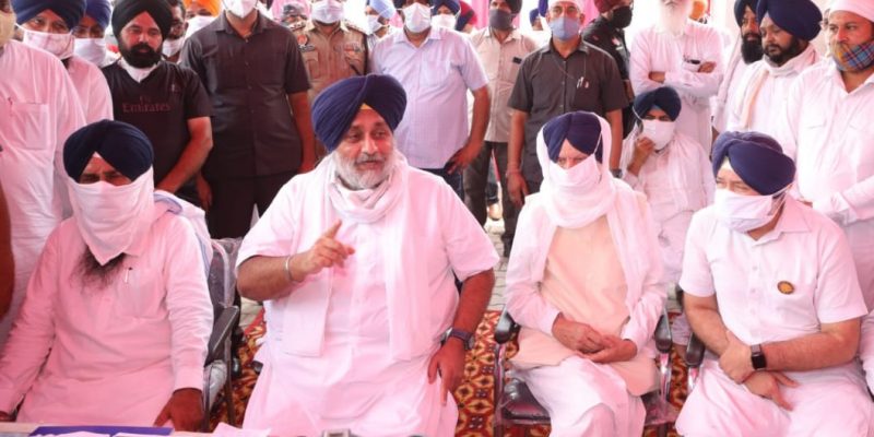 Punjab Assembly Polls: Votes on Mind, Parties Focus Attention on Dalits - Vimarsana News