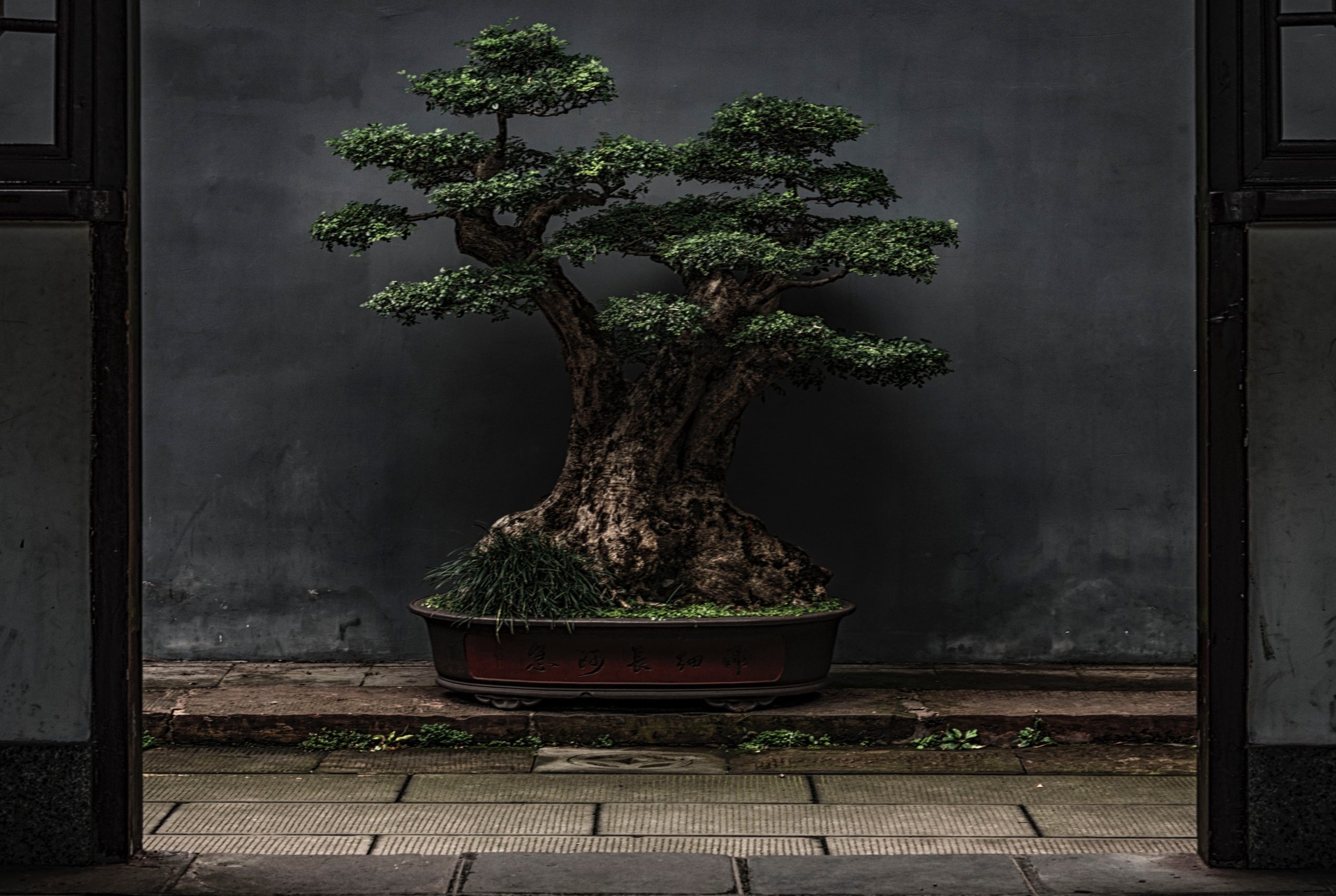 zhao-chen-KCnX0ux2jFo-unsplash(1)
