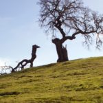 tim-mossholder-kbuE-6cpITs-unsplash