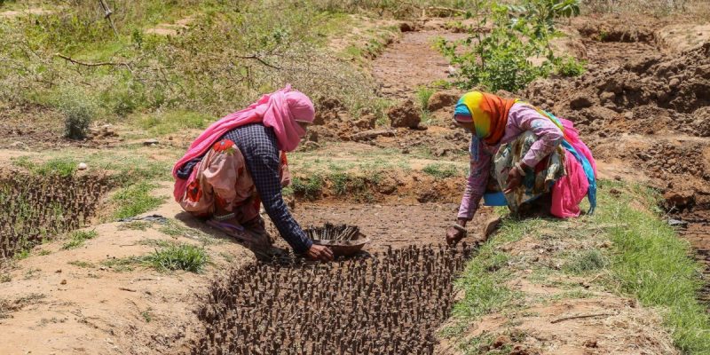 Here's What We Know About COVID's Impact on India's Workers – and What We Can Do About it - Vimarsana News