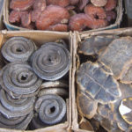 Traditional_Chinese_medicine_in_Xian_market-crop