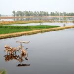 2560px-Tractor_Mekong_Delta_Vietnam