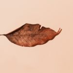 raul-angel-URCwkL1dTjM-unsplash