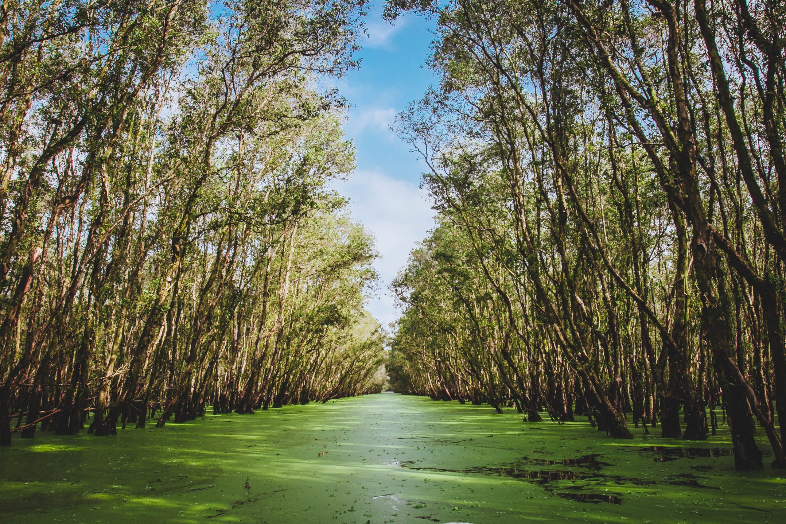 fuu-j-hfU4d8bjE3A-unsplash