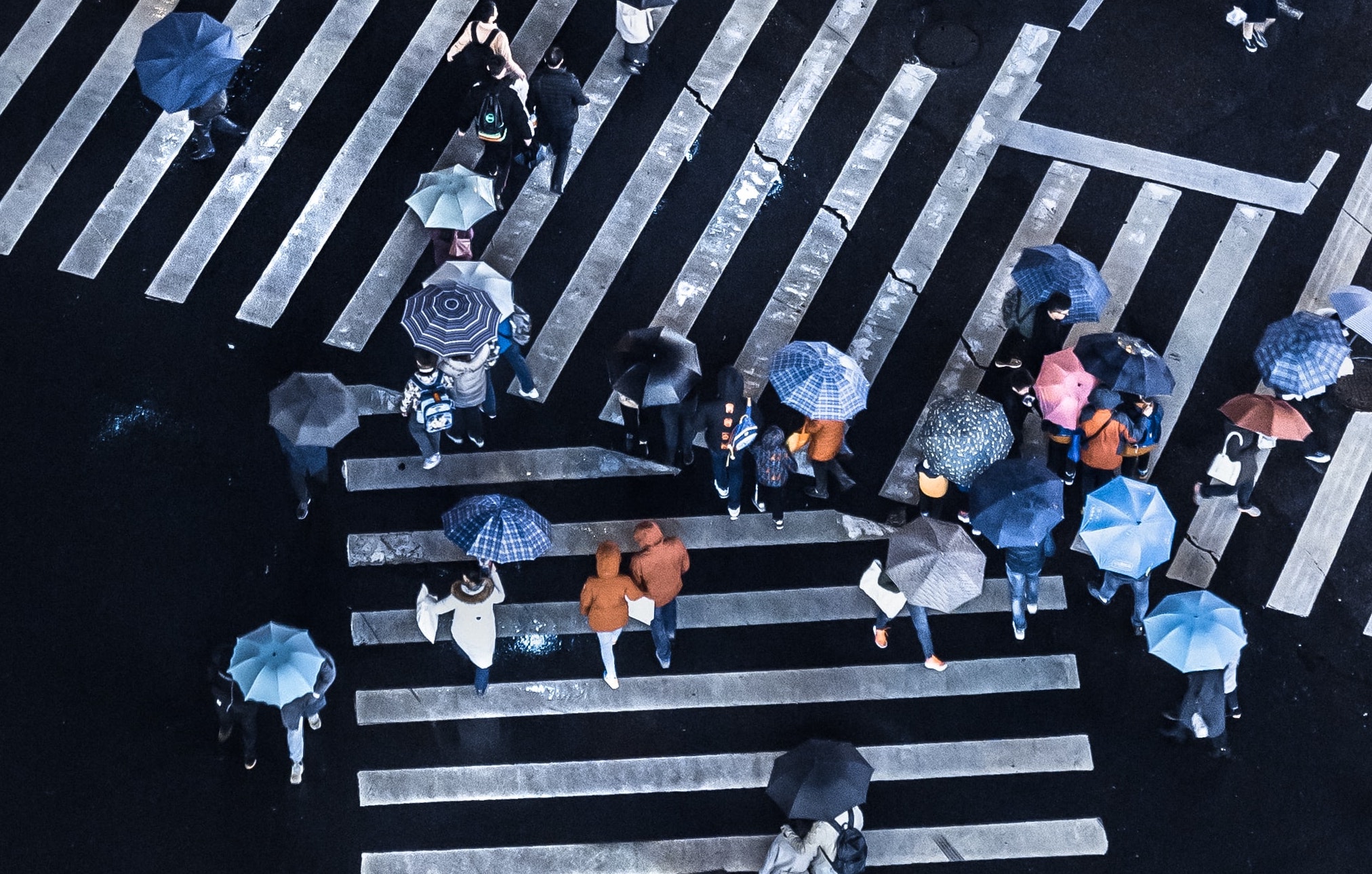 yiranding-VxC0DMdCh4E-unsplash