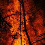 benjamin-lizardo-icrhAD-qidc-unsplash