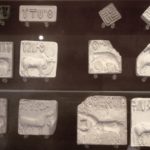 IndusValleySeals