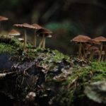 jesse-dodds-pzwH-a4aF3s-unsplash