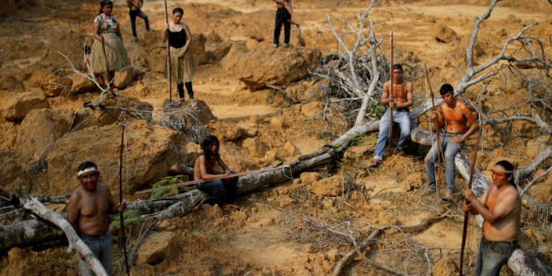 'Biggest Story Right Now': Humanity Has Flipped Amazon From Carbon Sink to Source - Vimarsana News